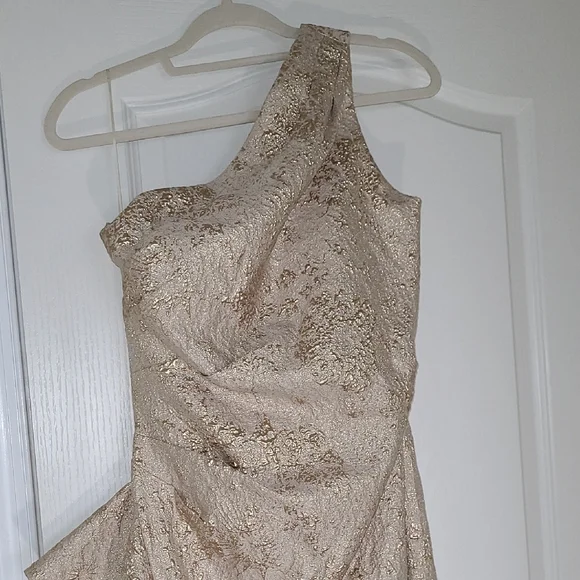 Teri Jon by Ricki Freeman One shoulder Asymmetrical Gold Dress - Picture 4 of 6